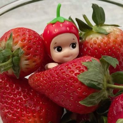 moochichi sonnyangel fruit set 8
