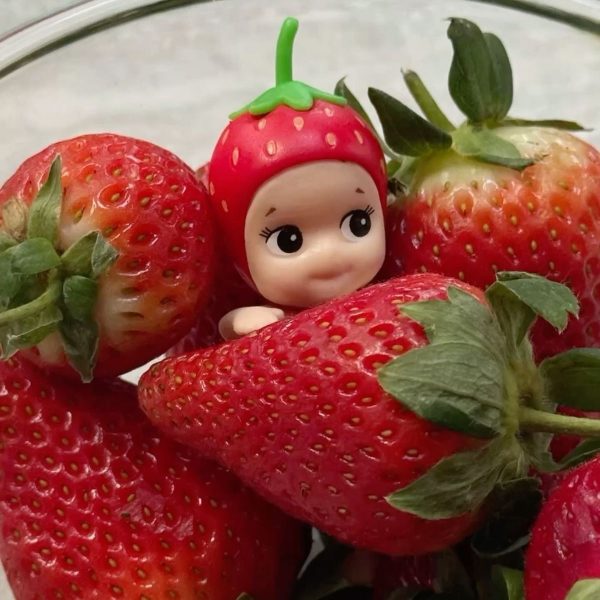 moochichi sonnyangel fruit set 8